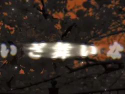 大和魂