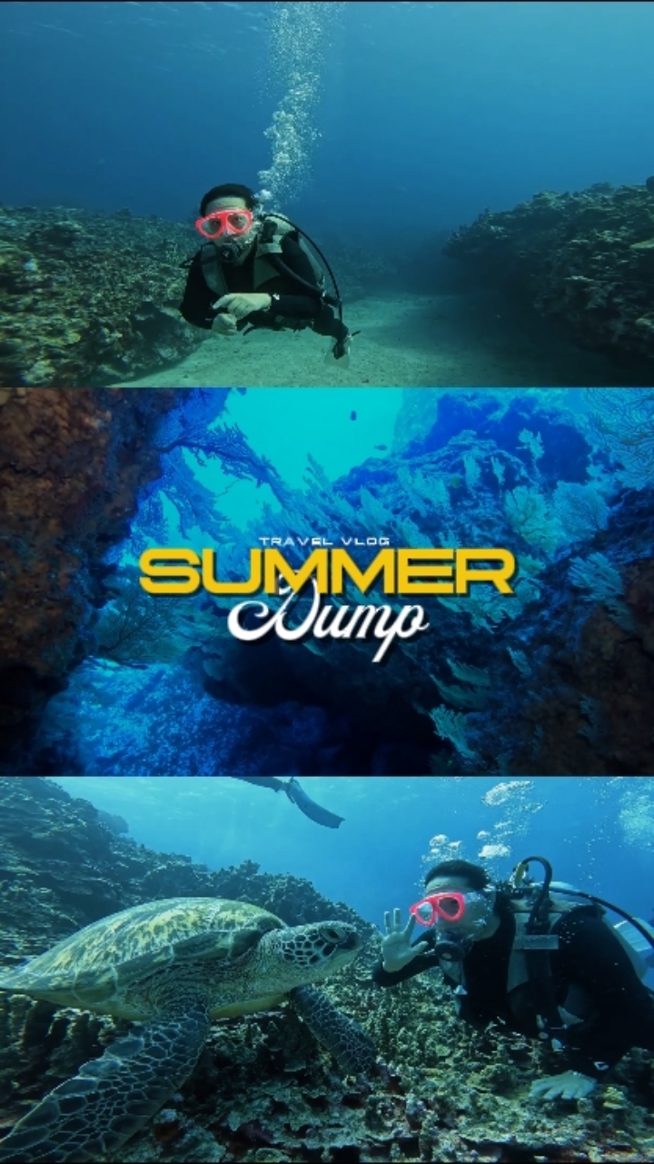 Verano Volcado