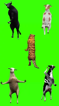 5 hewan joget viral
