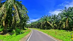 lanscape HD 2 clip
