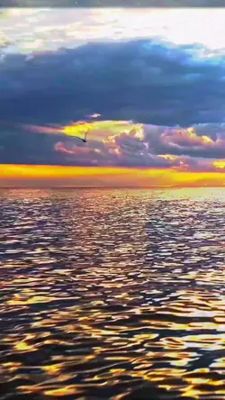 mer