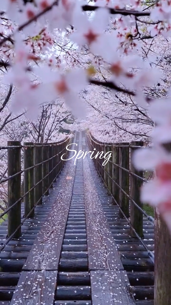 Spring