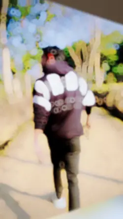 dasi dasi slowmotion