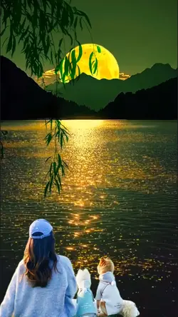 Moonlight