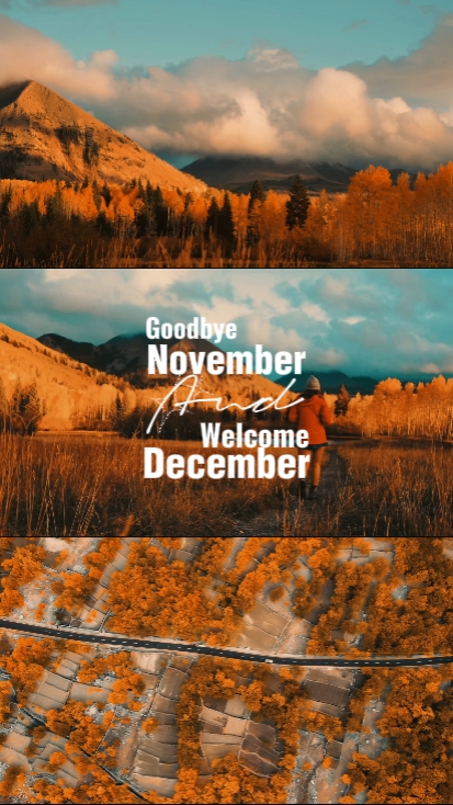 ADEUS NOVEMBRO E