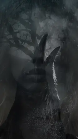 FOREST REALMS