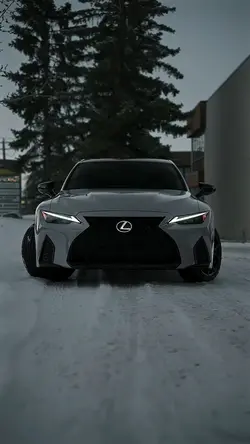 CARRO DE LUXO