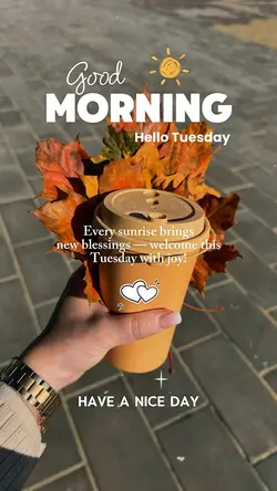 Tuesday Morning 🌞