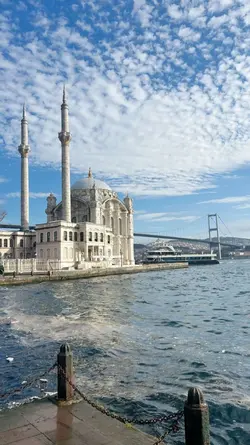 yeni şablon