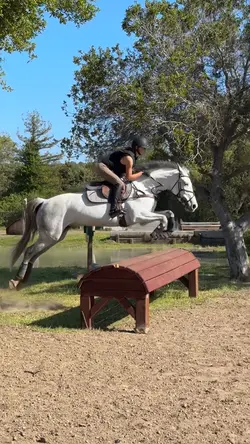 1 clip ‼️⚠️FAKE⚠️‼️