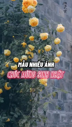 Chúc mừng sinh nhật