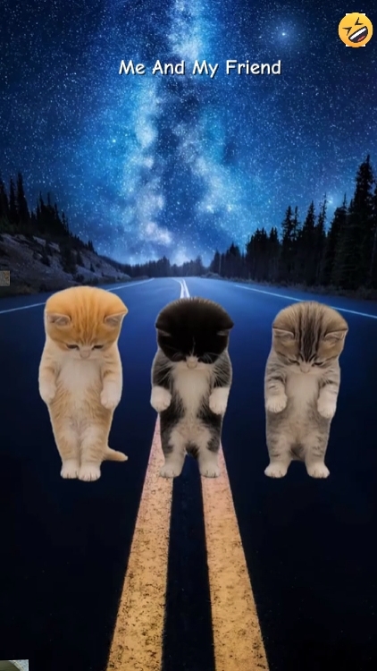Tendencia del Gato Bailarín