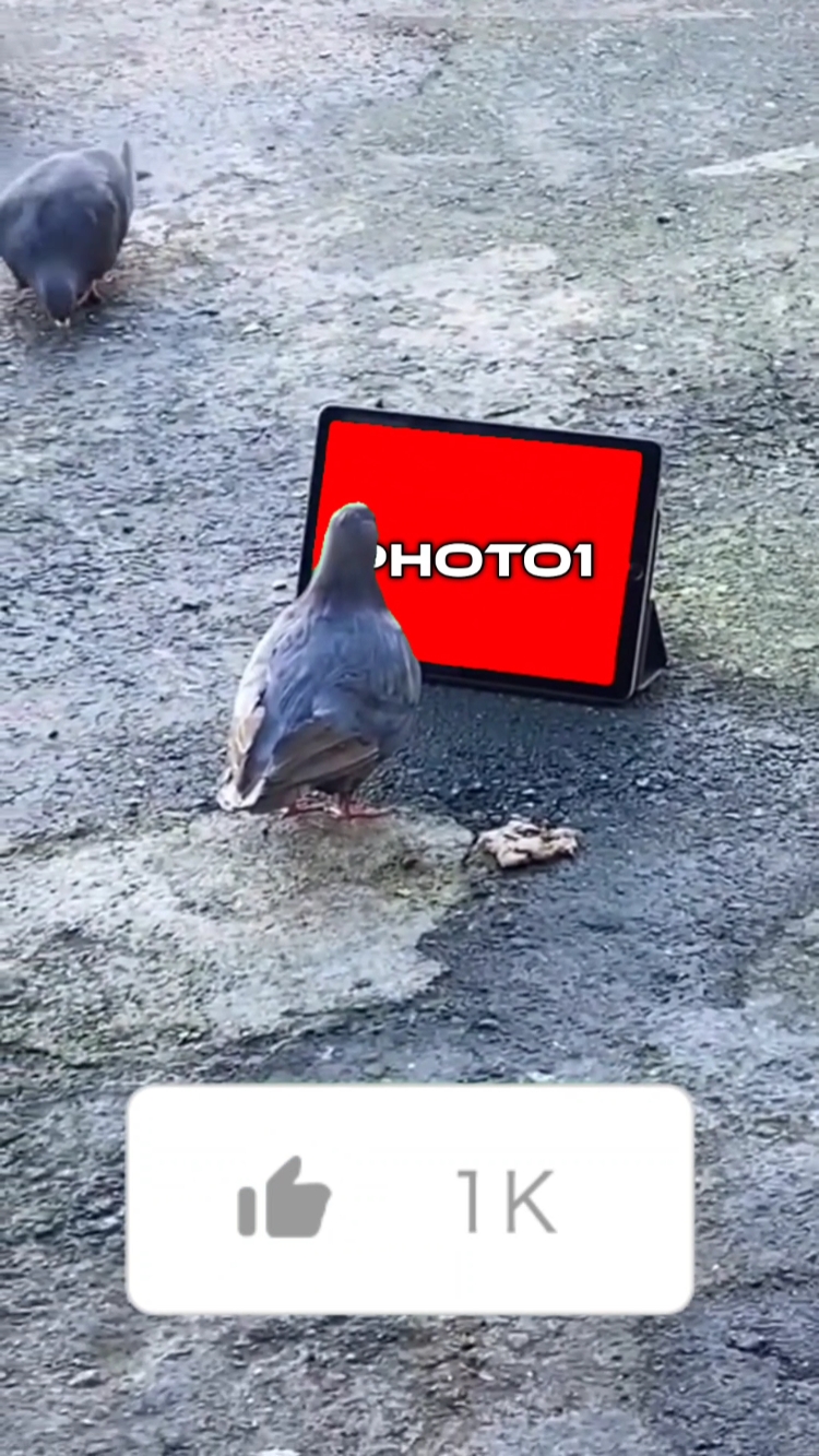 Plantilla de pájaro 