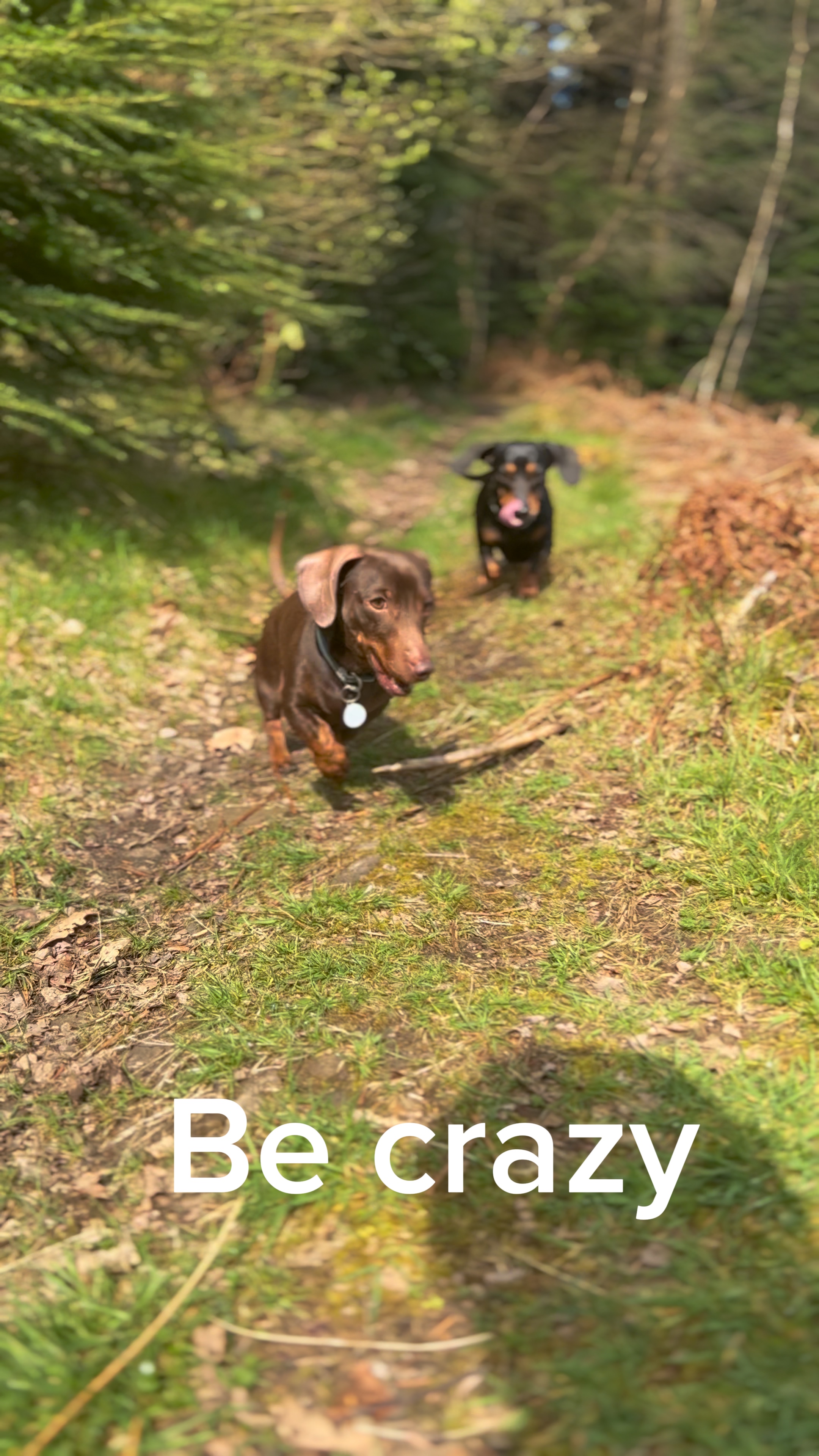 Be crazy