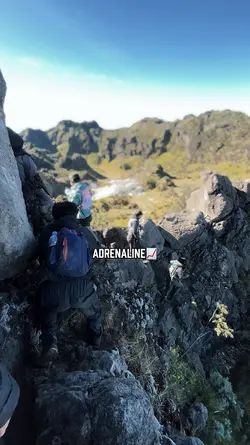 Adrenaline📈