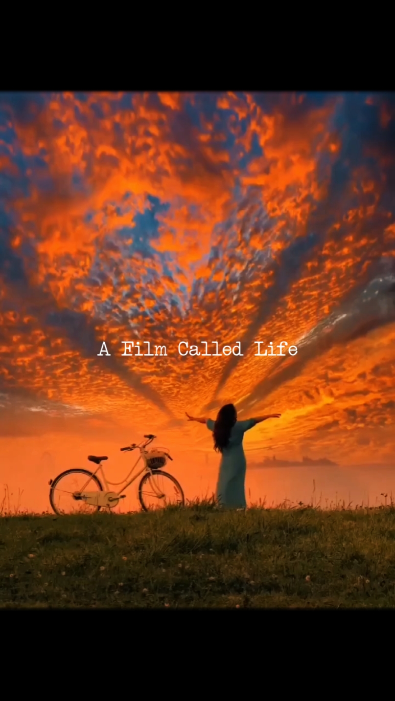 Película llamada vida