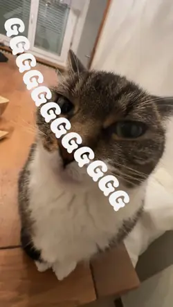 SAYANG 9:16 JJ Trend