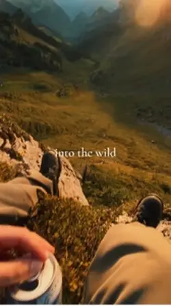 into the wild 