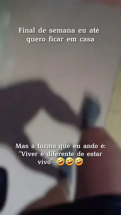 Viver