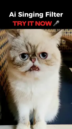 Ai Singing Filter 🎤