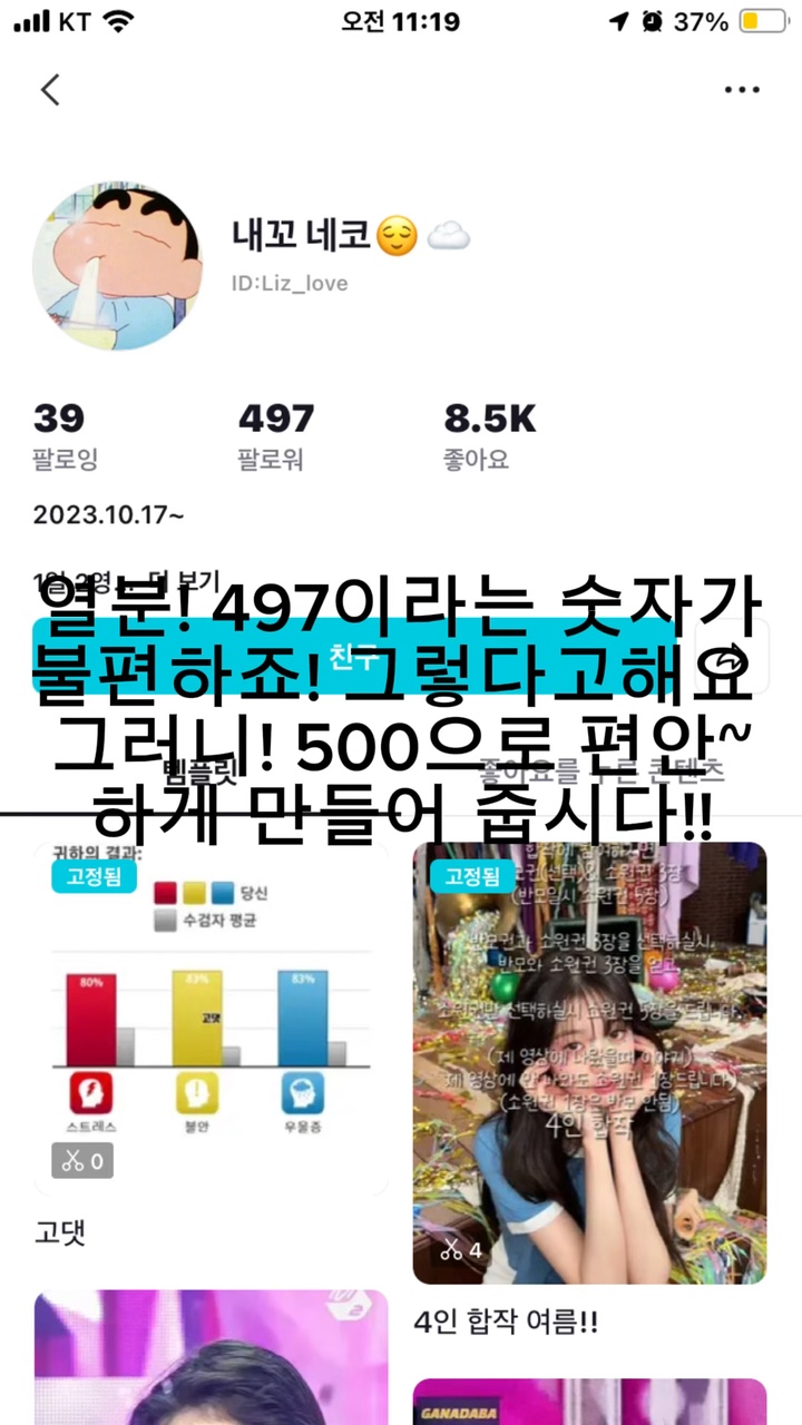 네코 홍보