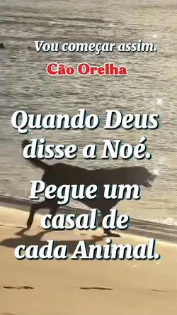 cão Orelha 