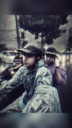 1 ảnh + Màu Lyrics