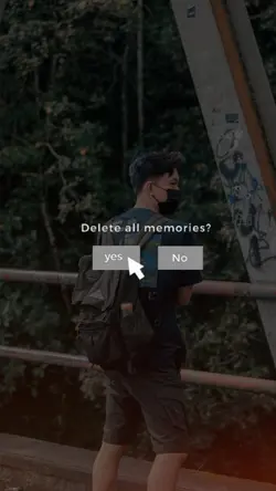 Delete all memories?