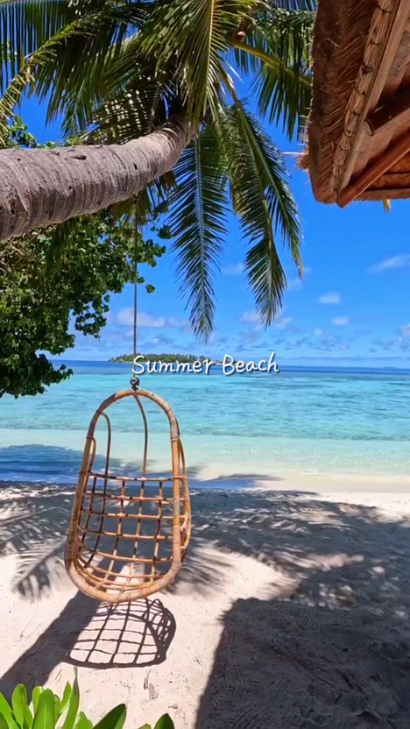 Summer Beach