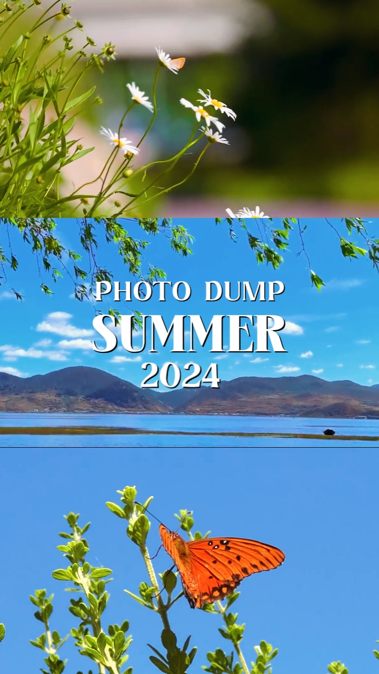 Sommer-Dump 2024
