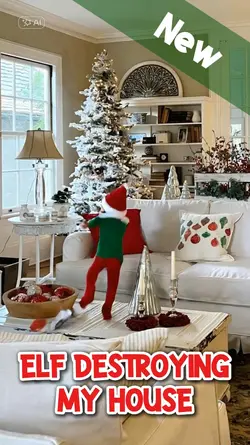 ELF IN MY HOUSE