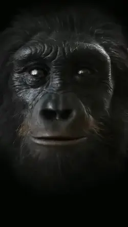 evolution of friends