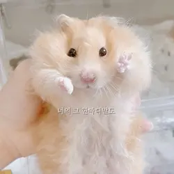 너의 그 한마디말도