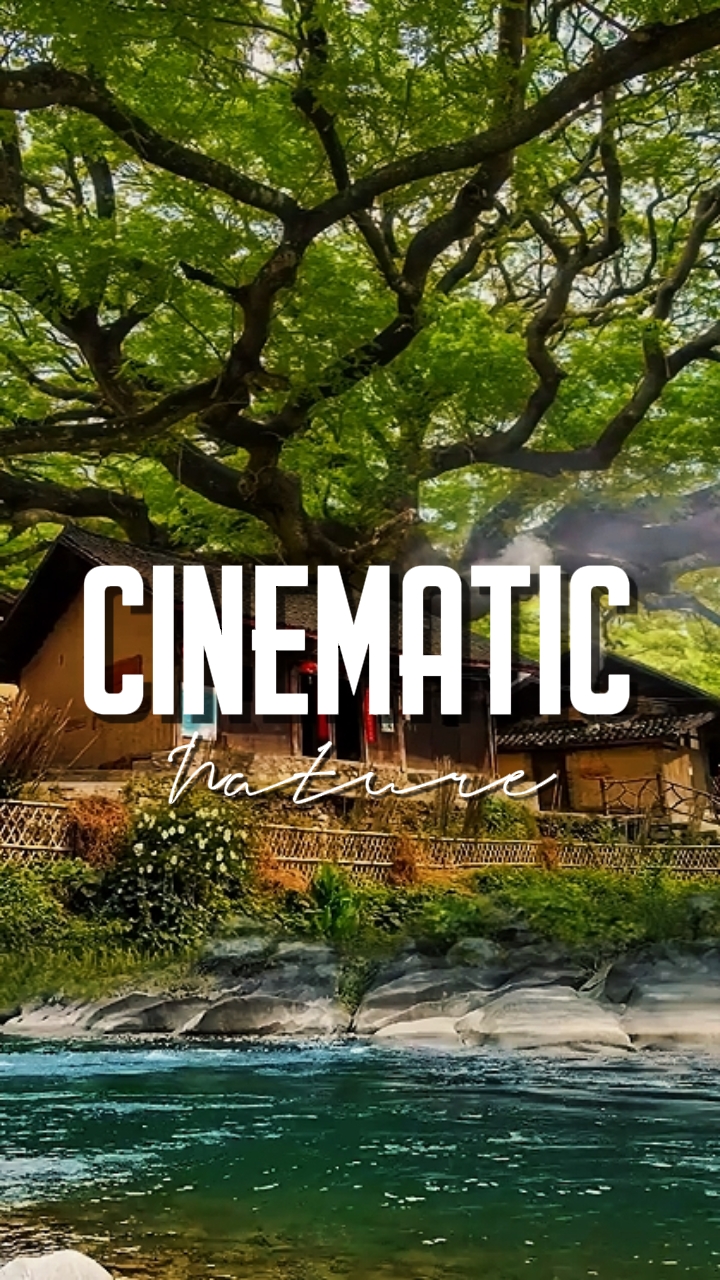 CINEMATIC NATURE 