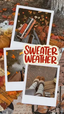 Sweater Weather 🍂🍁