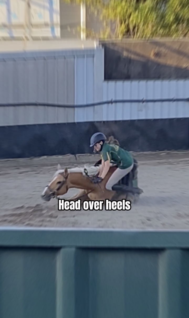 Head over heels 🤣