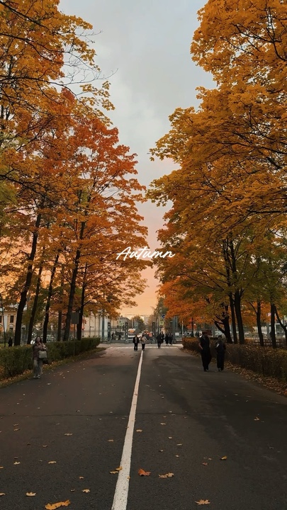 Autumn