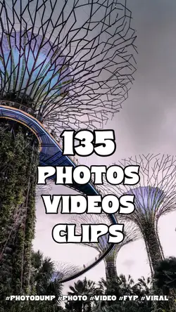 135 photos videos