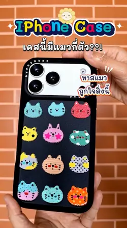 เคส