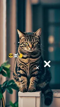 tiktok:ali.m.yaad25