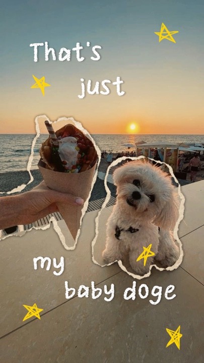 bu sadece benim köpeğim 