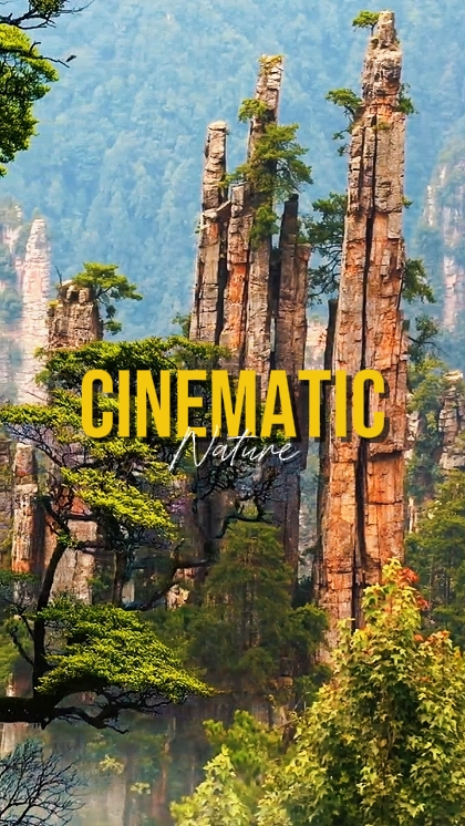 NATURALEZA CINEMÁTICA