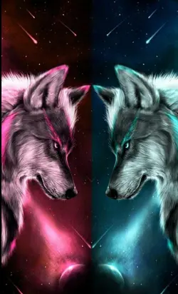 transitions