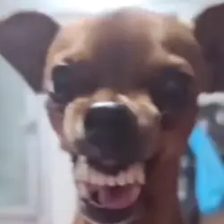 kkkkk