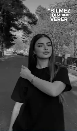 Yeni şablon