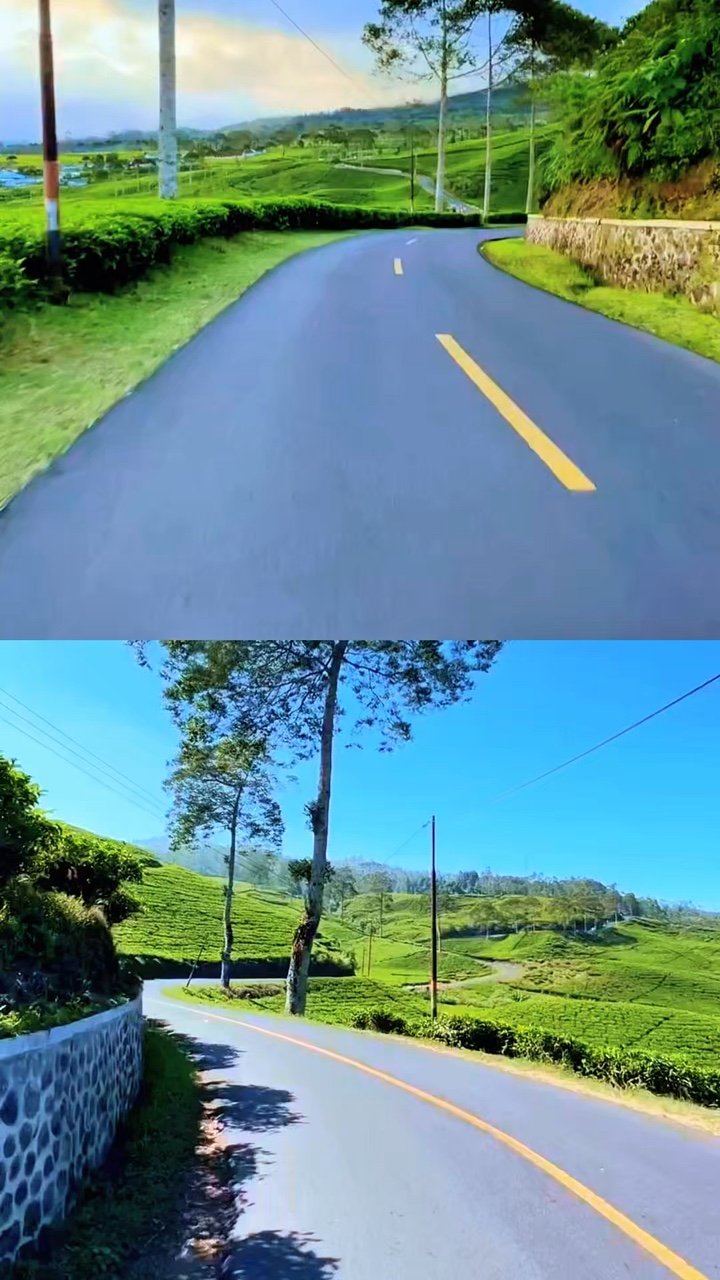 collage video