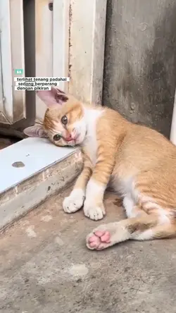 kata kata story