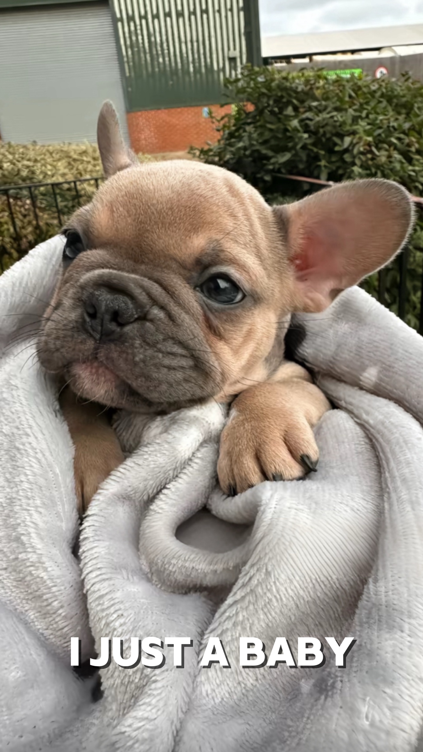 Je suis juste un bébé 
