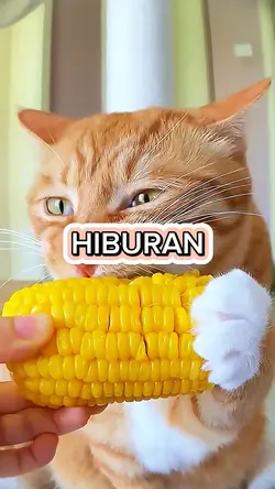 Minta Makan