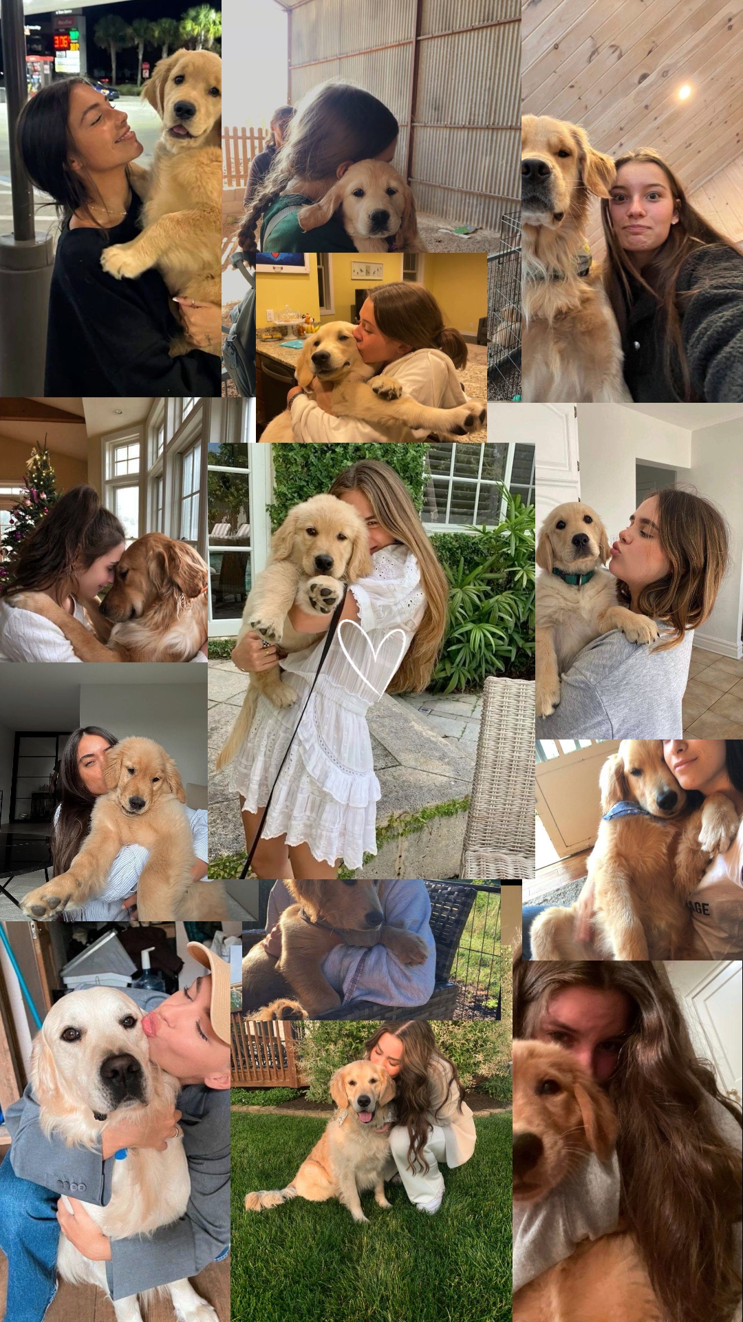 Mi perro